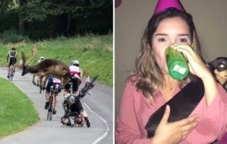 15 неожиданных снимков, которые были сделаны в тот самый момент (16 фото)