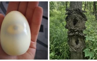 Мир не перестает удивлять нас, и вот тому доказательства (28 фото)