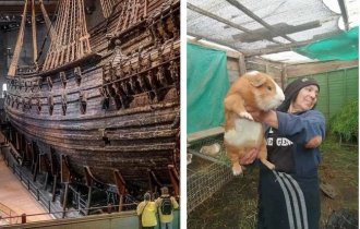 Всё в мире познается в сравнении: 40 удивительных фотографий (40 фото)