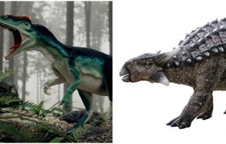 12 самых сильных и опасных динозавров (13 фото)