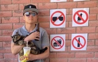 A selection of outrageous hooliganism and disobedience to the rules (11 photos)