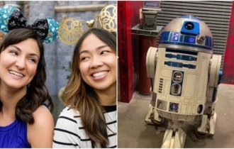 10 самых дорогих товаров из парков Уолта Диснея (11 фото)