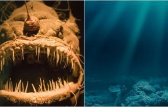 Самые уродливые и жуткие обитатели океана (13 фото)