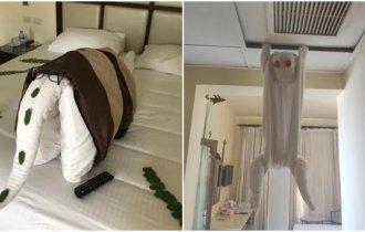 The moment when hotel room cleaners surprised tourists (16 photos)