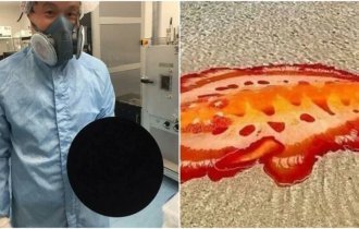 20+ вещей и явлений, смотреть на которые и жутко, и любопытно (30 фото)