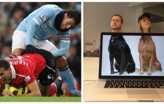 50 снимков, сделанных точно в нужный момент (51 фото)