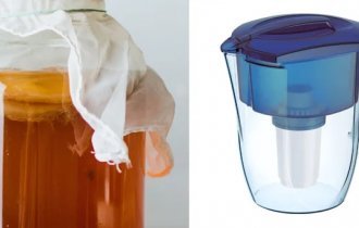 Чем можно заменить фильтр для воды: еще одно свойство чайного гриба (5 фото)
