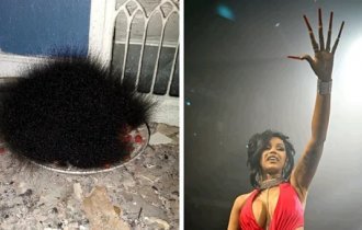 18 weird but harmless things (19 photos)