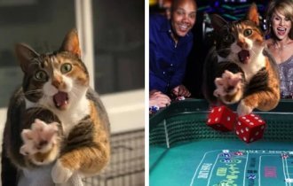 15 funny works from the winners of Photoshop battles (16 photos)