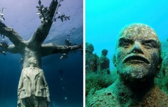 15 photos of underwater objects that will be a real surprise for a diver (16 photos)