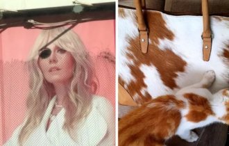 15 people who managed to take the perfect photo (16 photos)