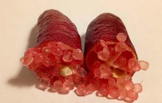 Finger lime: what rare and very expensive citrus caviar looks like (7 photos)