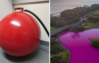 16 familiar objects that appeared in an atypical form or strange color (17 photos)