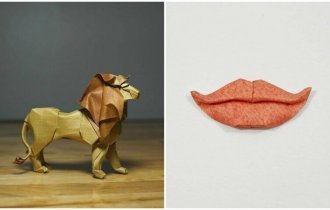 Новый уровень творчества: оригами из влажной бумаги (31 фото)