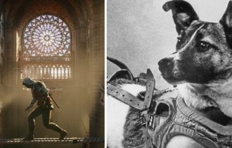 25 любопытных фактов из серии «Сегодня я узнал» (26 фото)