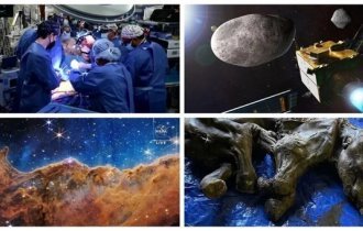 10 most amazing scientific discoveries of 2022 (12 photos + 4 videos)