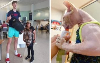 17 фотографий предметов, рядом с которыми всё остальное кажется ничтожно маленьким (18 фото)