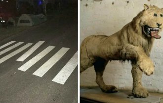 30 фото из серии «У тебя была всего одна задача!» (31 фото)