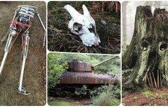 20 загадочных находок, которые люди случайно обнаружили в лесу (21 фото)