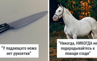 28 простых правил безопасности, которые должен знать каждый (29 фото)