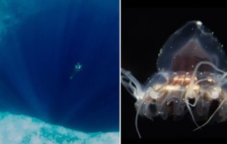 10 невероятных фактов об океане (9 фото + 2 видео)