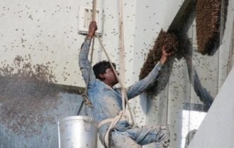 Люди, которым плевать на технику безопасности (15 фото)