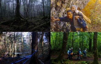 Лес самоубийц: самое мрачное место на земле (12 фото)