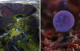 15 счастливчиков, которые нашли иголку в стоге сена (16 фото)