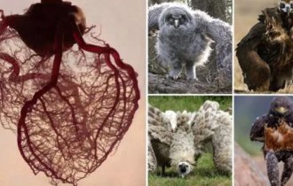 15 увлекательных фотографий, которые запомнятся надолго (16 фото)