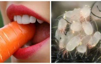 30 sad but true facts to add to your knowledge bank (31 photos)