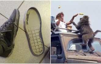 20+ случаев, когда людей накрыли неприятности на ровном месте (30 фото)