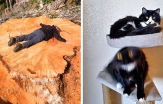 45 увлекательных фотосравнений из самых разных областей жизни (46 фото)