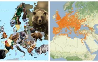 30+ интересных карт, которые расширят ваши представления о мире (34 фото)