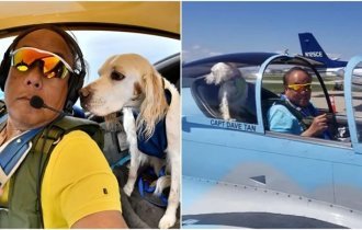 A retired pilot transports animals that need help (16 photos)