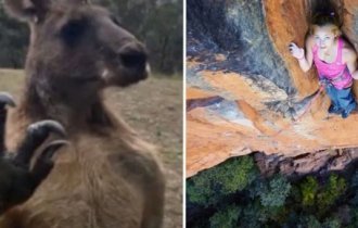 15 shocking images that will increase your adrenaline level (16 photos)