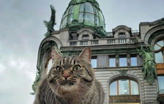 Петербург - город, в котором фотографироваться любят даже домашние животные (8 фото)