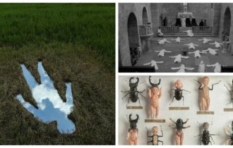 40 картинок, які і розважають, і лякають одночасно (41 фото)