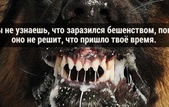 15 жутких научных фактов, которые действительно пугают (16 фото)