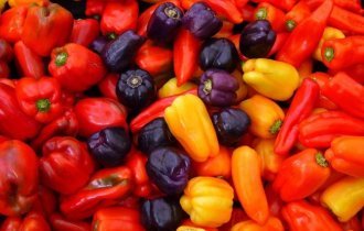 Почему перец "болгарский"? (2 фото)