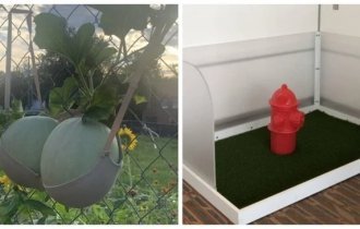 15 умных решений от бытовых гениев (16 фото)