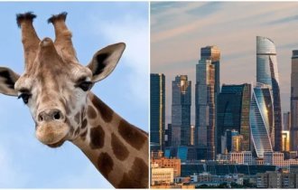 35 очень интересных фактов обо всем (8 фото)