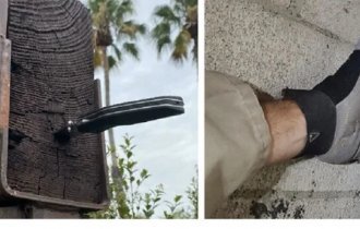 Самые страшные кошмары строительного инспектора (31 фото)