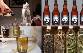 То, что не очень хочется пробовать: самый странный алкоголь со всего мира (13 фото)