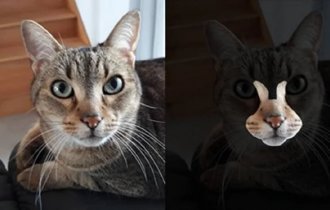 30+ фотографий, доказывающих, что наш мир - удивительное место (36 фото)