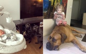 16 cute photos that prove that children and animals are made for each other (17 photos)