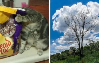 30 классных фото, которые заставляют взглянуть на мир под другим углом (31 фото)
