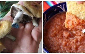 25 случаев, когда точно нужен специалист (26 фото)