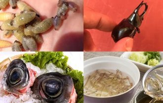 The most terrible dishes of Japan: when is it better to eat with your eyes closed (16 photos)