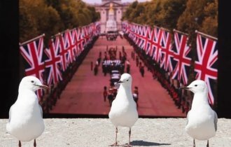 Зверские фото (20 фото)