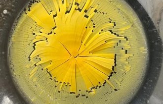 18 примеров того, что может произойти с едой, если забыть о ней на некоторое время (20 фото)